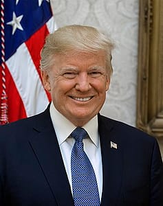 Fake News Donald Trump official portrait Make America great again